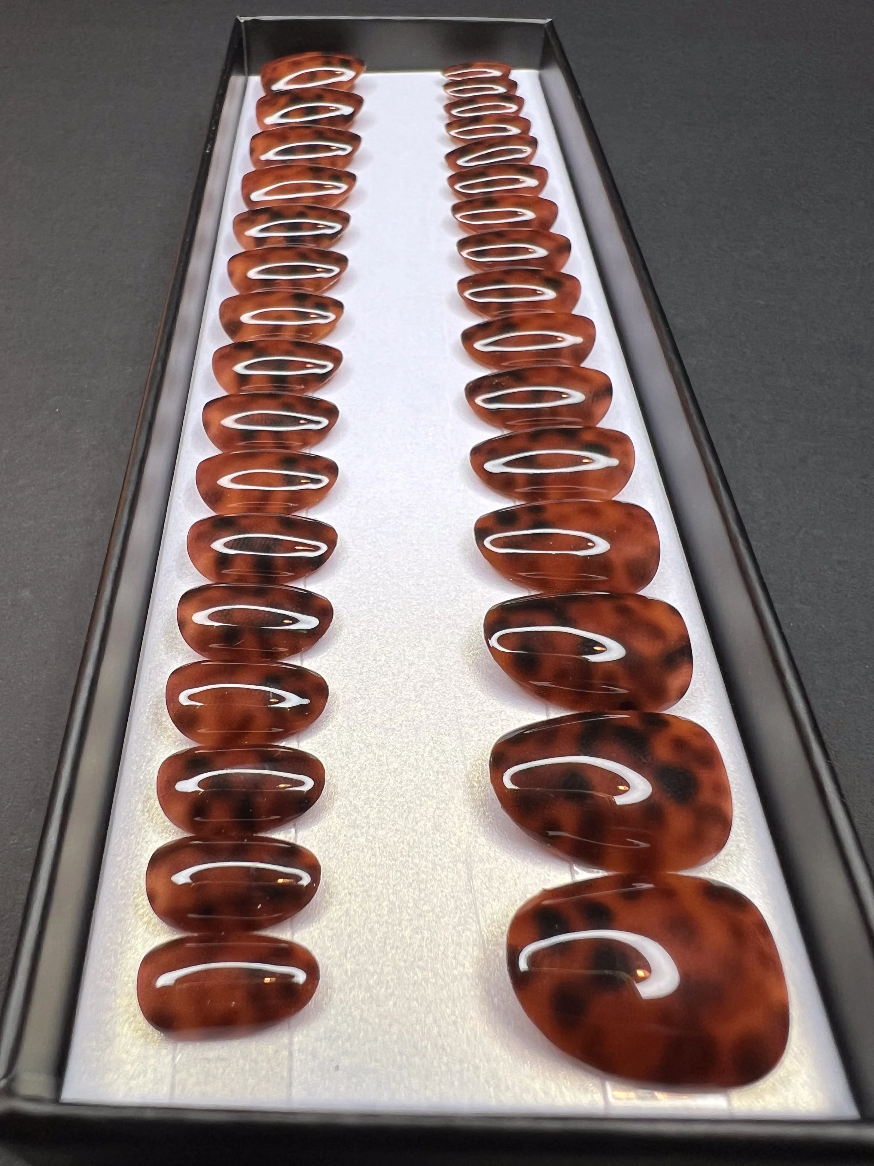 Tortoise shell - Image 3