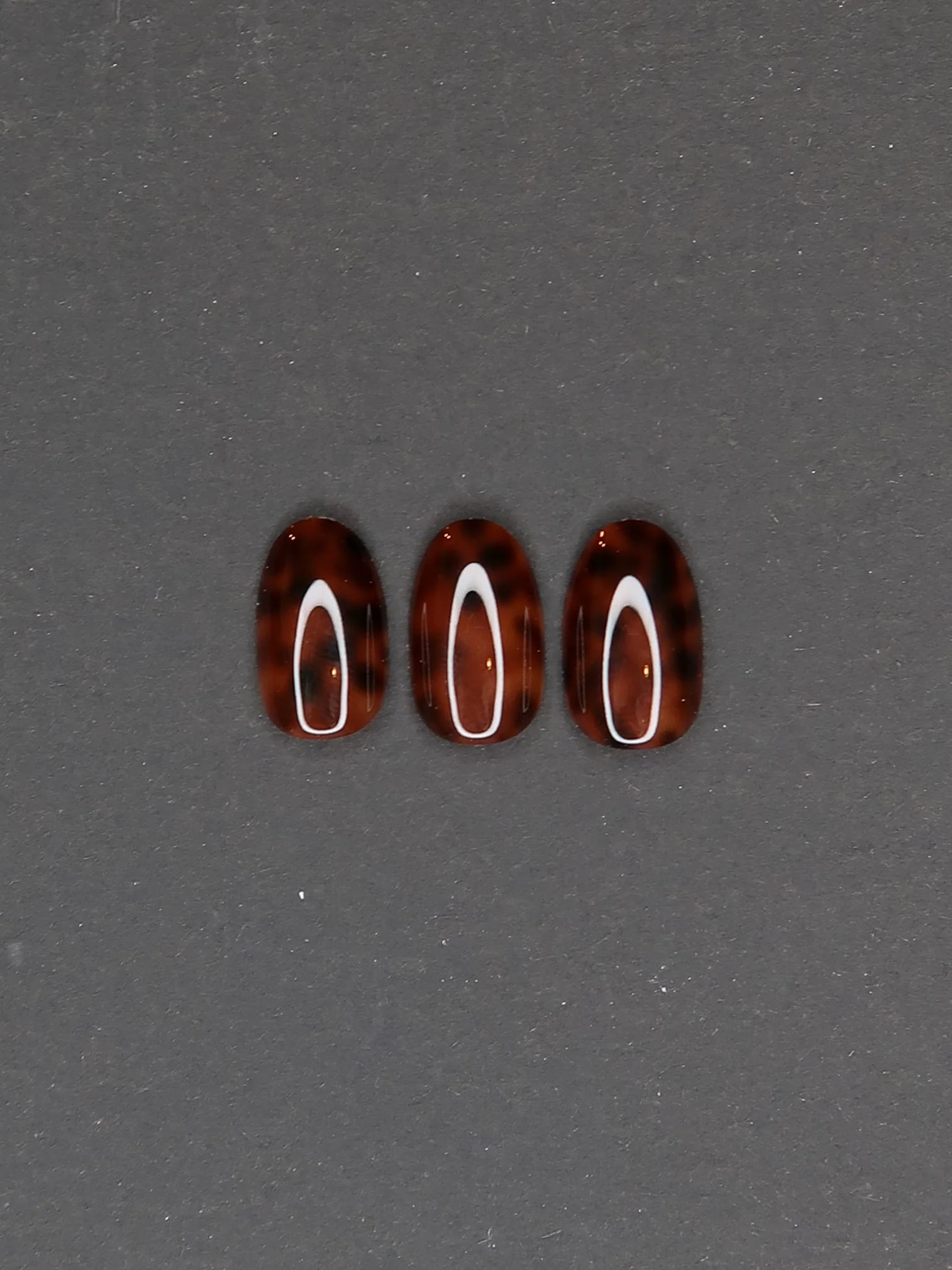Tortoise shell - Image 5